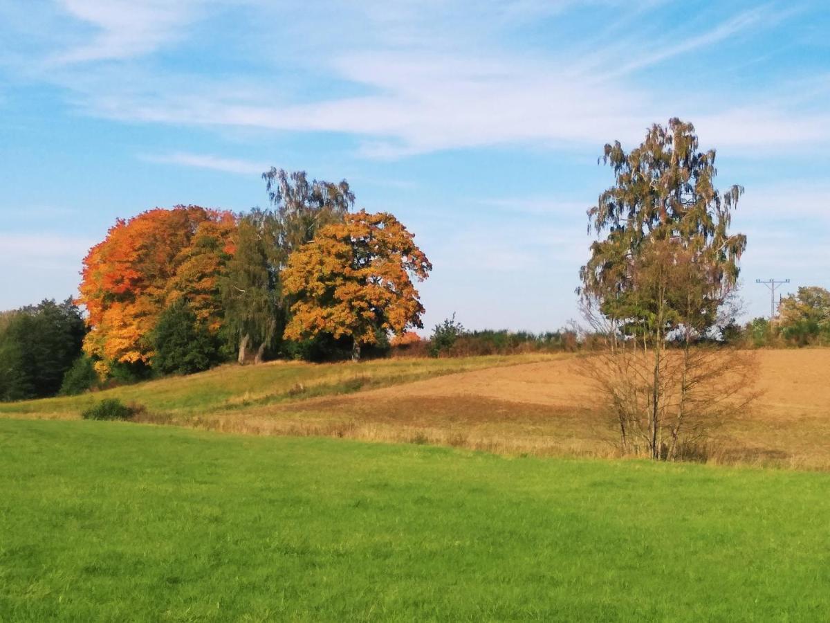 Nad Stawami Zwartowko